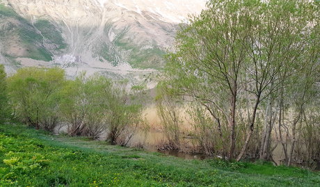 طبیعت اطراف دریاچه گهر 